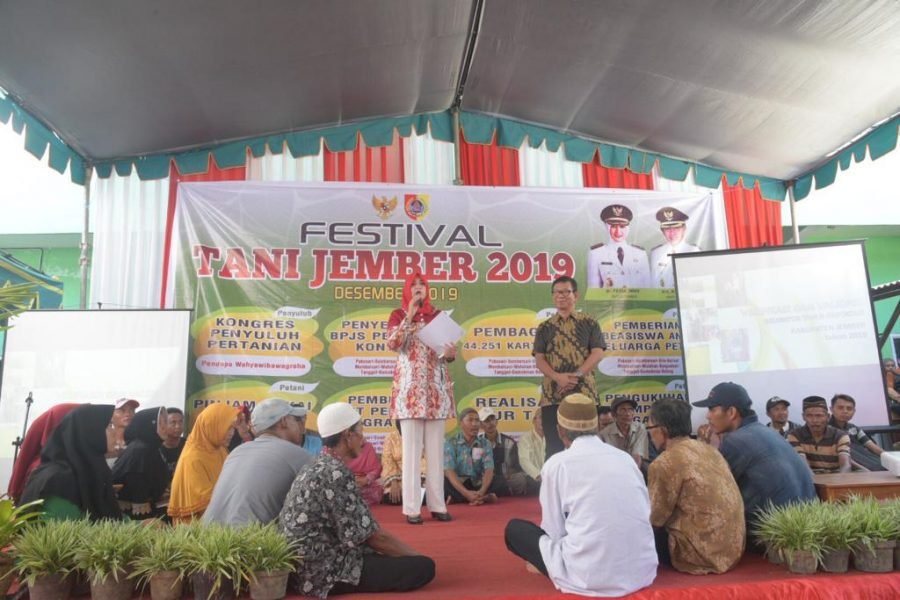 Festival Tani Selain Bagikan Kartu  Tani dan Alsintan  